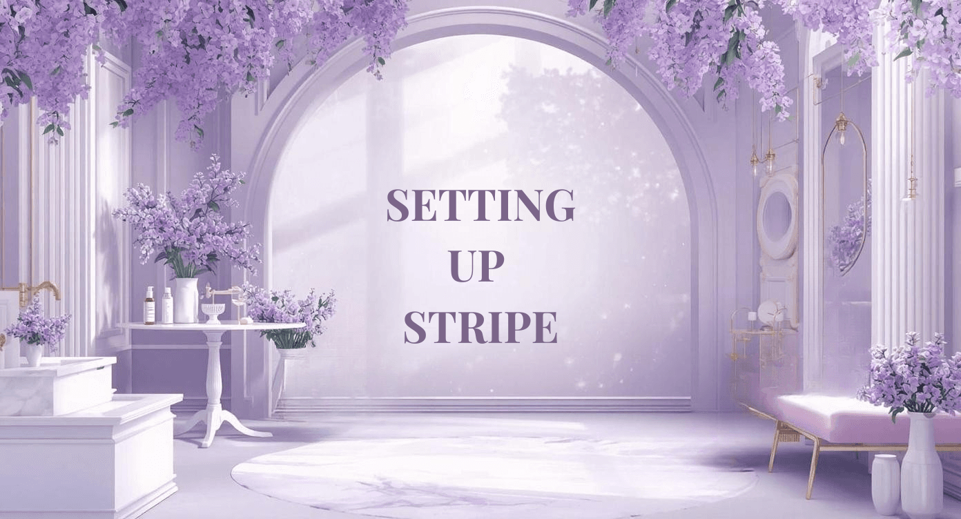 Stripe Setup for Business Profiles: from onboarding to payout